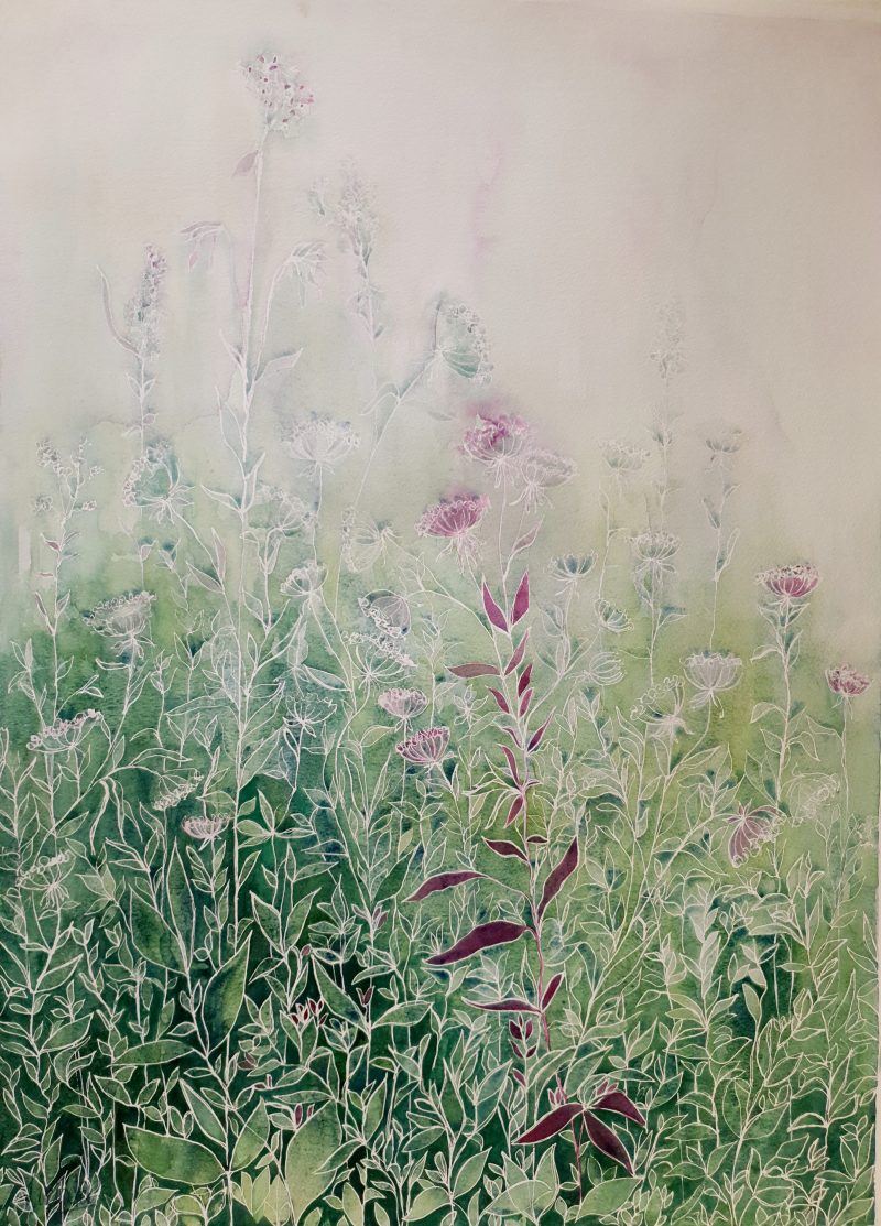 My Secret Tangled Garden