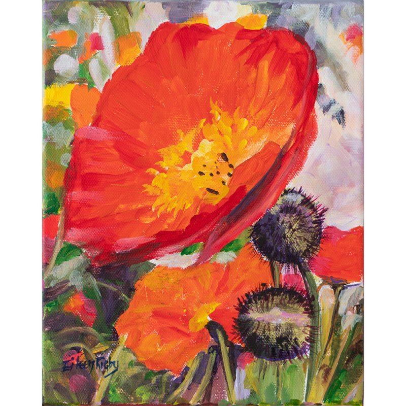 Poppies and Spiky pods