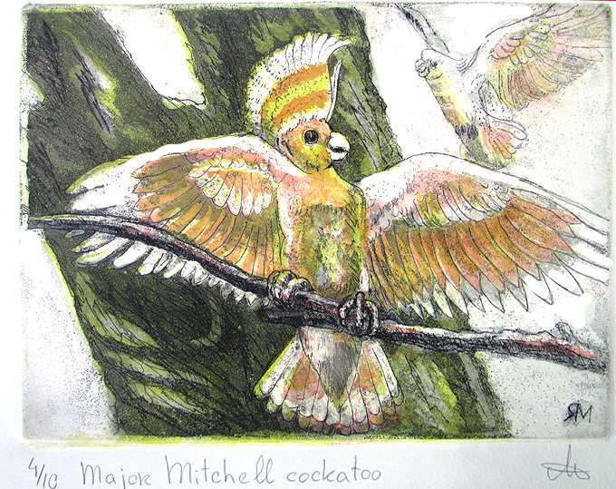 Major Mitchell’s cockatoo