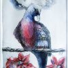Etching. Victoria Crowned Pigeon Sm