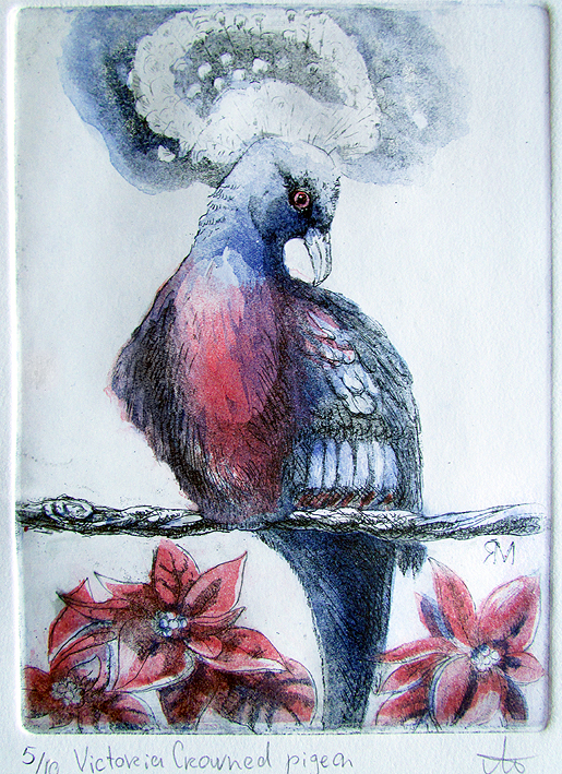 Victoria Crowned pigeon