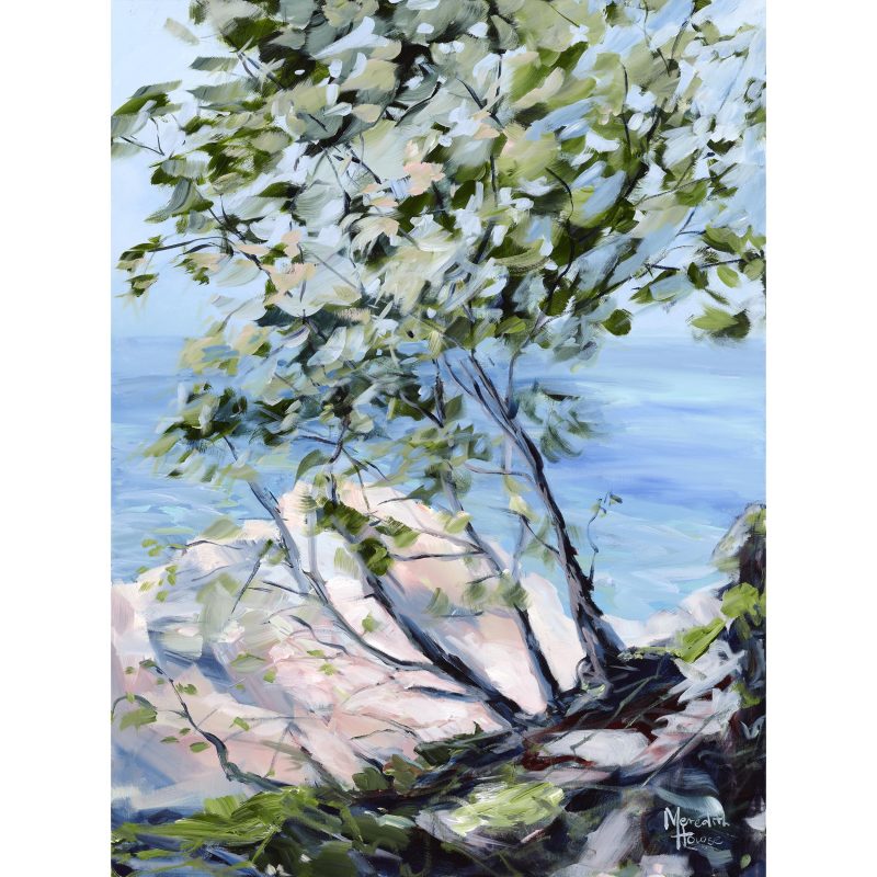 Noosa National Park lI Ltd Ed Print