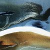 Ocean's Reach (detail 1)