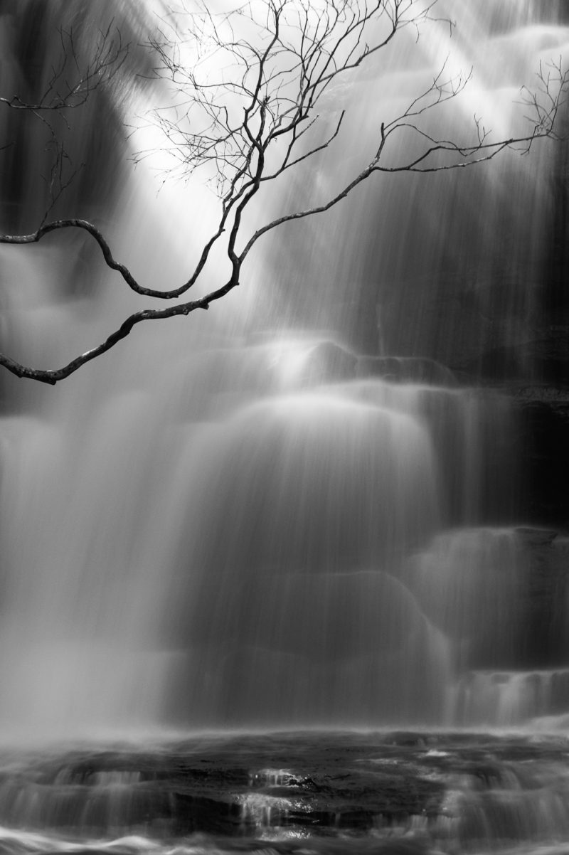 Sunlight After the Rain – Ltd Ed Print