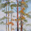 Tall Trees Detail