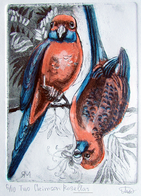 Two Crimson Rosellas