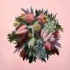 Vickie Liu Succulent Explosion 30x30