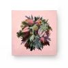 Vickie Liu Succulent Explosion 30x30 Overall