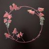Vickie Liu Succulent Wreath 30x30