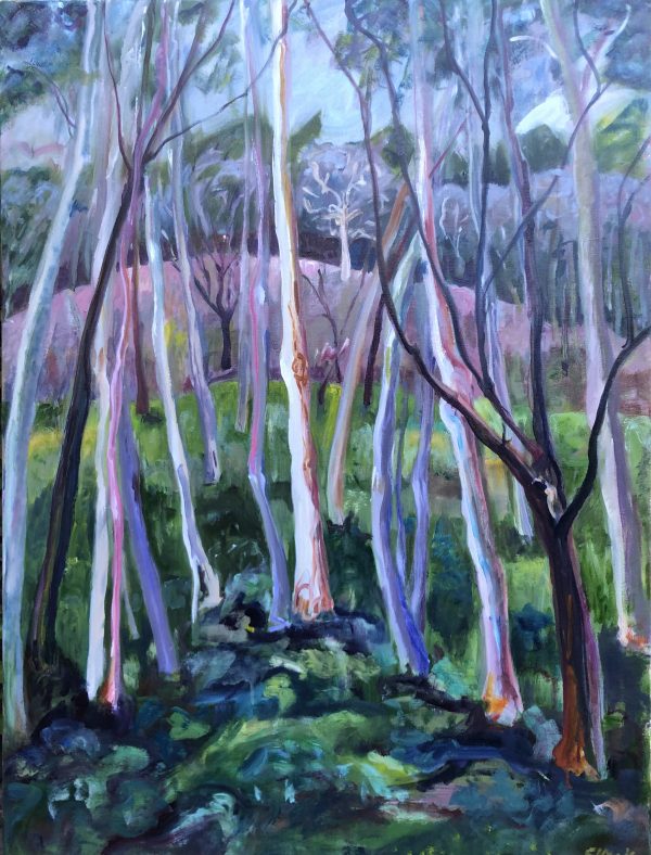 Landscape Second Valley