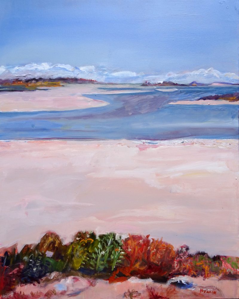 Seascape – The Coorong