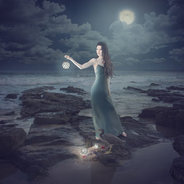 Sirens Dark Base Bird Tones Final 1200px