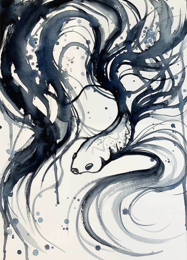 Sm Sydney Artist Leni Kae Betta Fish Watercolour