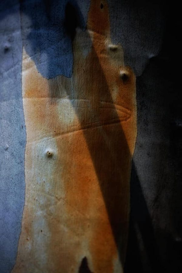 191388218 10158600283322885 4687444246915940410 N