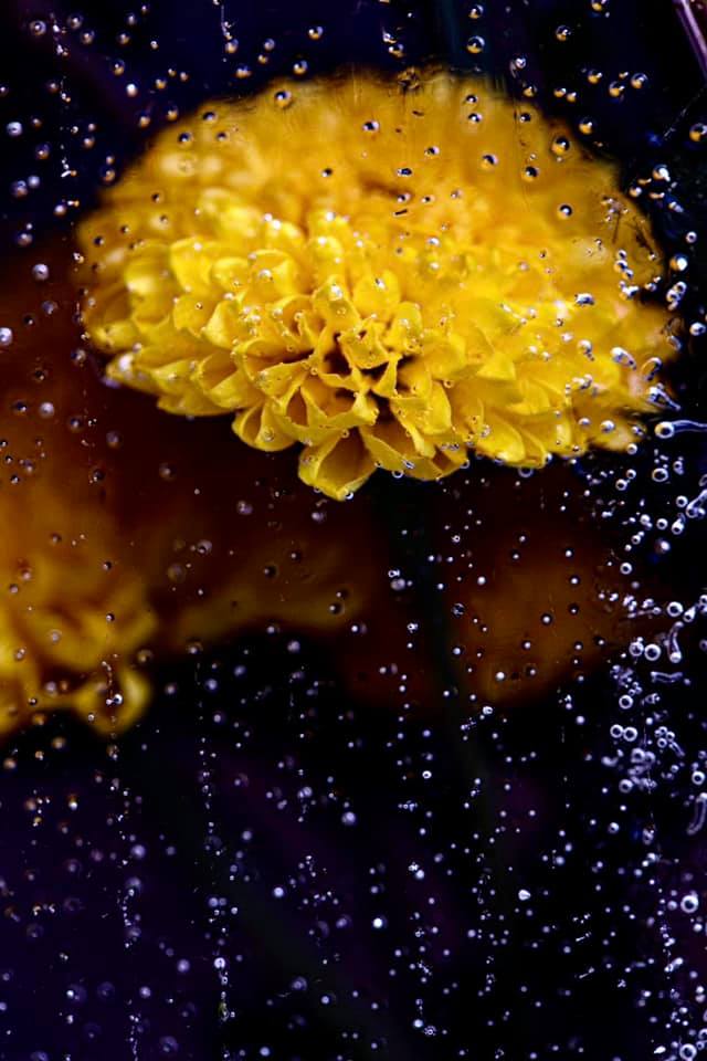 Deep in Thought – Below Zero – Ltd Ed Print