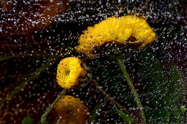 198229801 10158623481247885 4451116516100964982 N