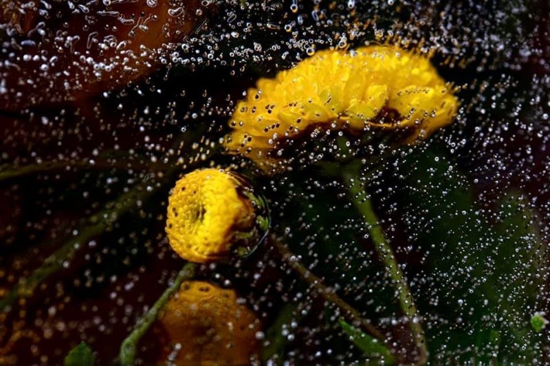 Floating Away – Below Zero – Ltd Ed Print