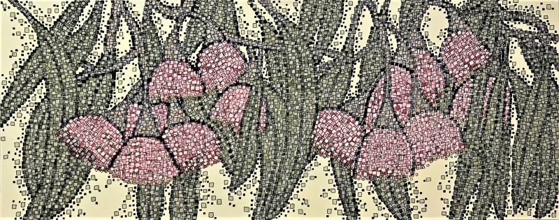 Flowering Eucalyptus