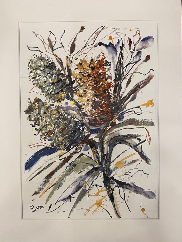 Banksias 1
