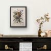 Banksias Insitu Black Frame