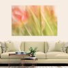 Lost In The Glow Of Tulips Canvas Print Bernadette Meyers Art Lovers Australia