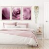 Rose Triptych Framed Print Bernadette Meyers Art Lovers Australia