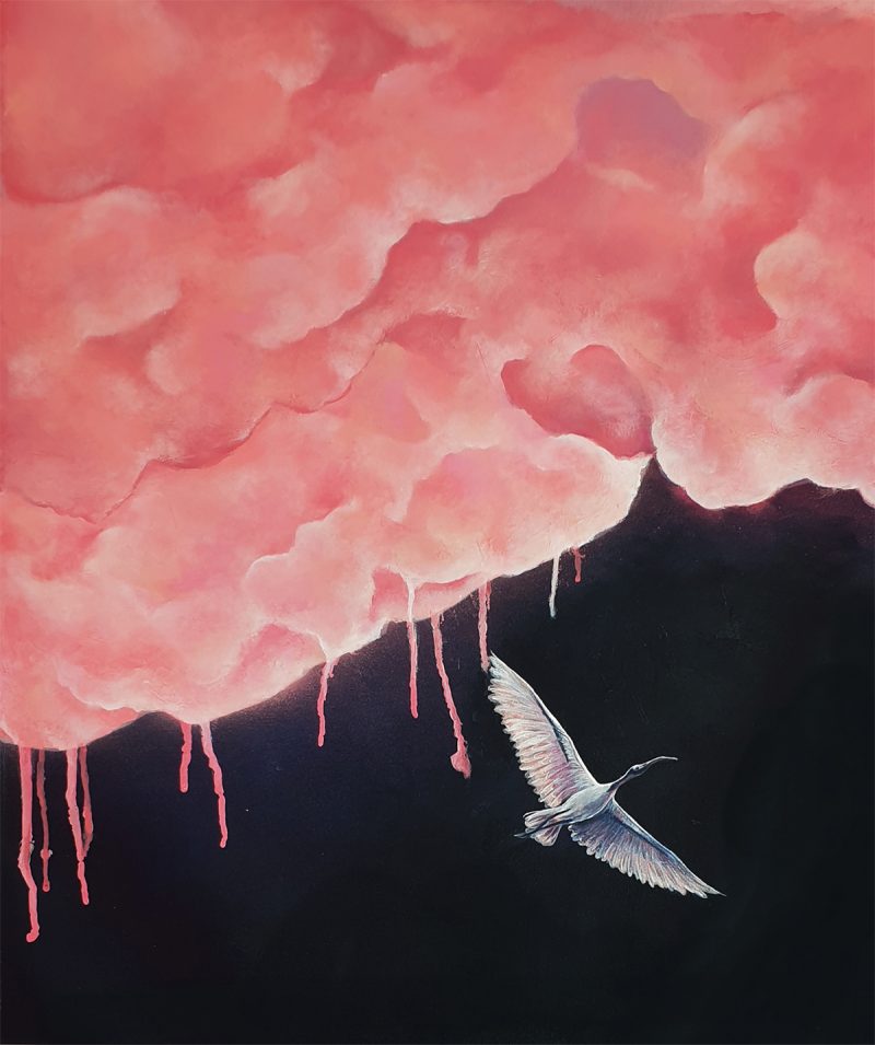 Heart in the Clouds (Ibis Calling)