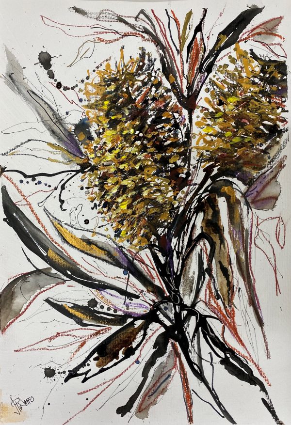 Banksia #2