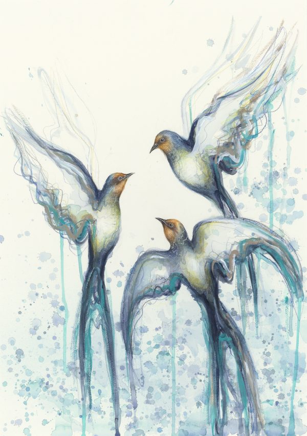 Exported From Metis Light Inspecto