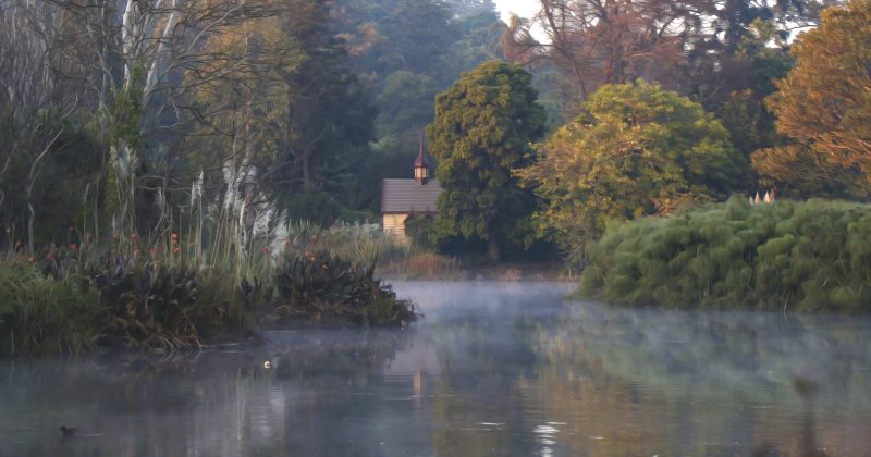 Misty Morning in Melbourne’s Botanic Gardens