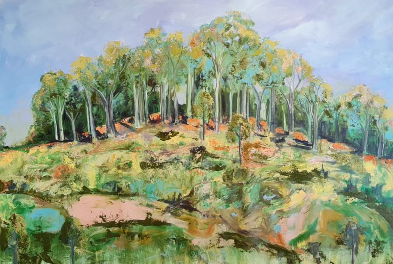 Terra Firma 2 View from St Gregs