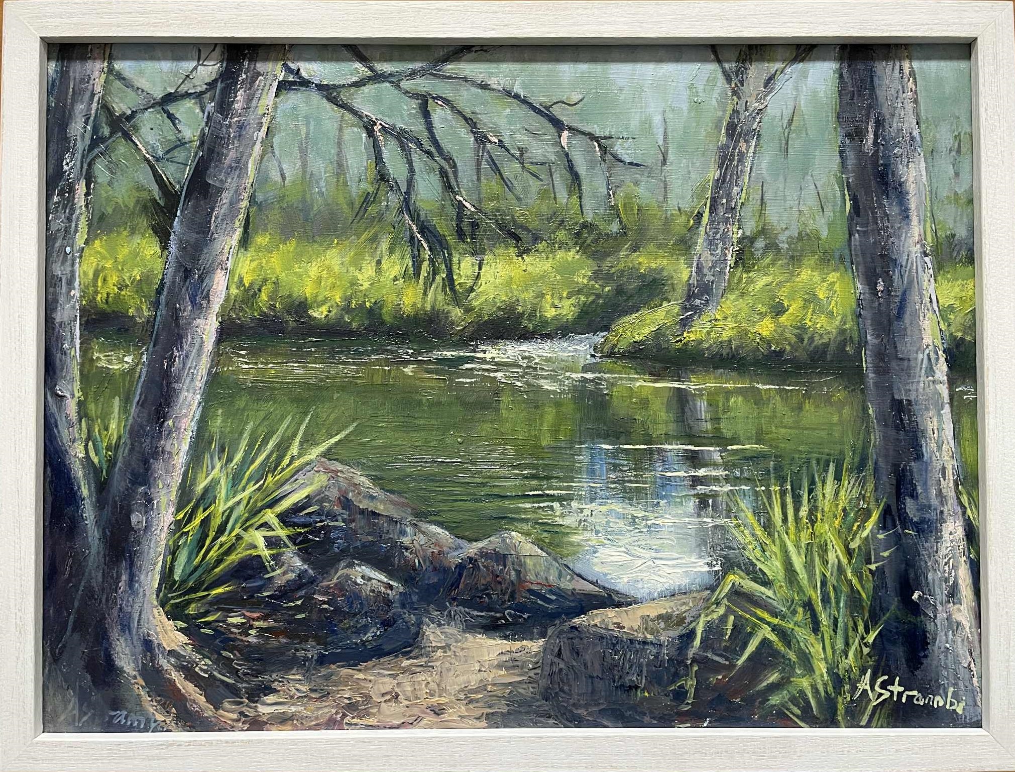 New Frame Creek Reflections