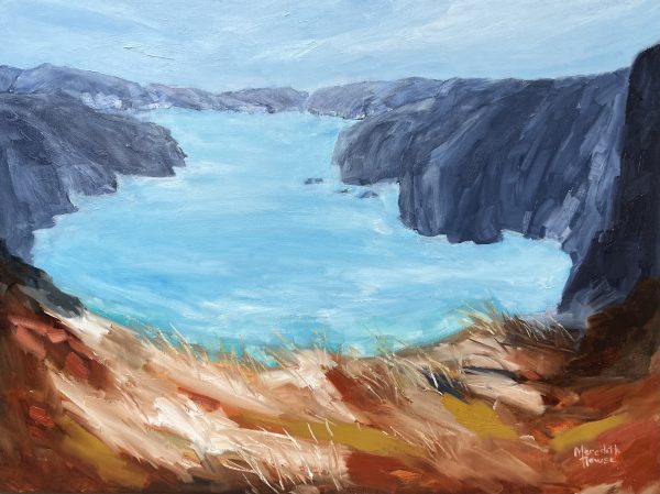 A Drop In The Ocean By Meredith Howse