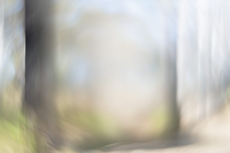 A Sense of Place II – Ltd Ed Print