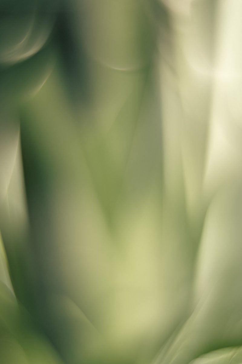 A Time to Listen – Ltd Ed Print