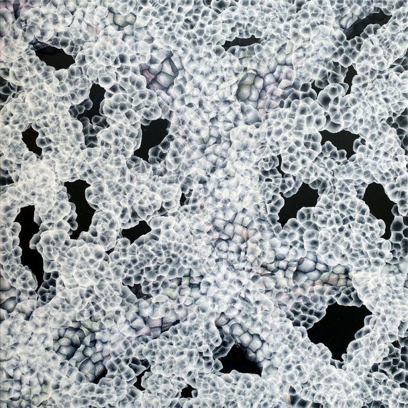 Aqueous Bloom Rock Pool Musings V