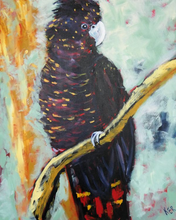 Black Cockatoo