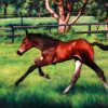 Born To Run Vicki Sullivan Artloversaustralia