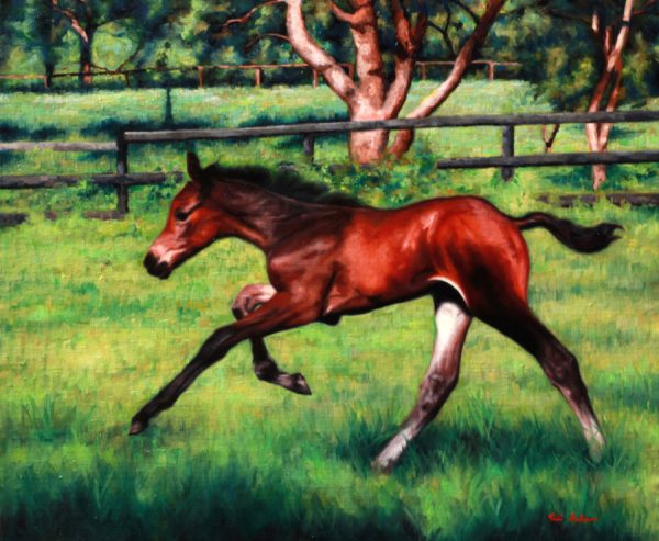 Born To Run Vicki Sullivan Artloversaustralia