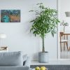 Bright Living Room With Large Plant