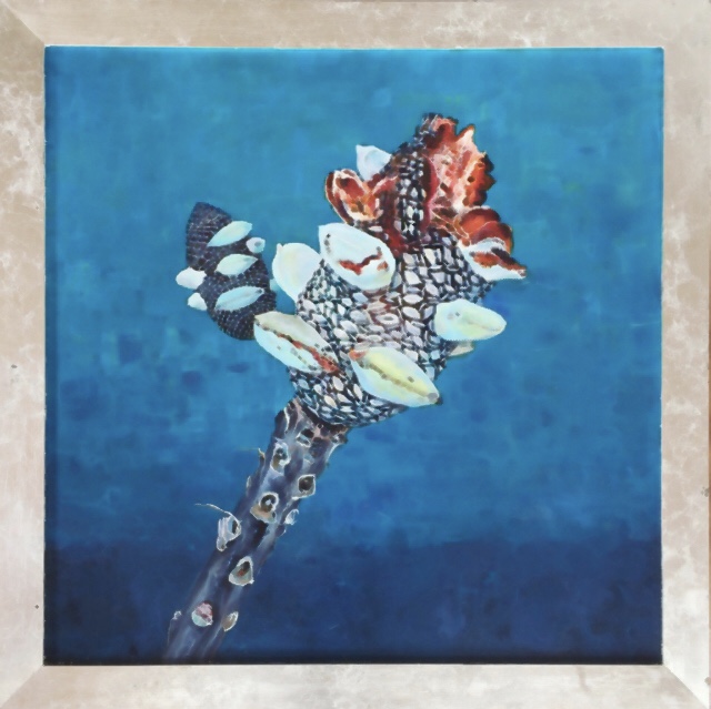 Banksia Seed Pod MENZII