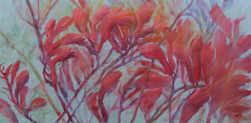 Kangaroo Paw – Australian Native Flower Series