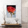 Meron Somers Peony Blossom Insitu