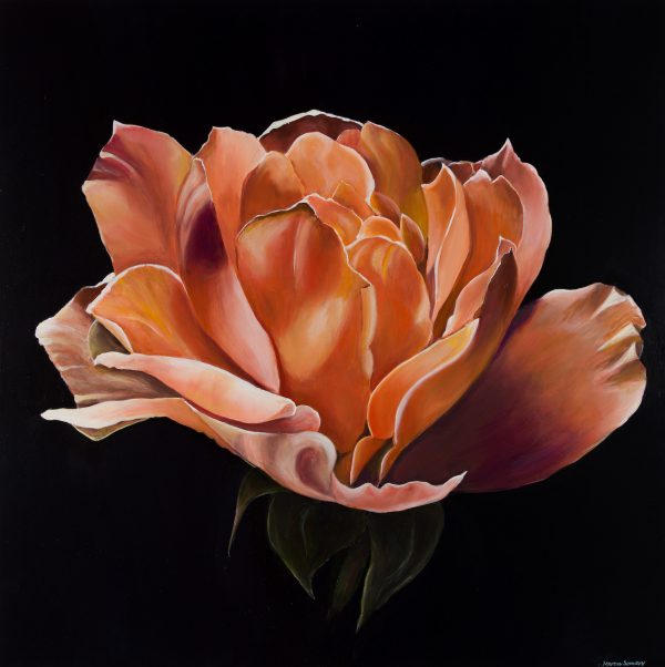 Meron Somers Tangerine Rose 101x101x4
