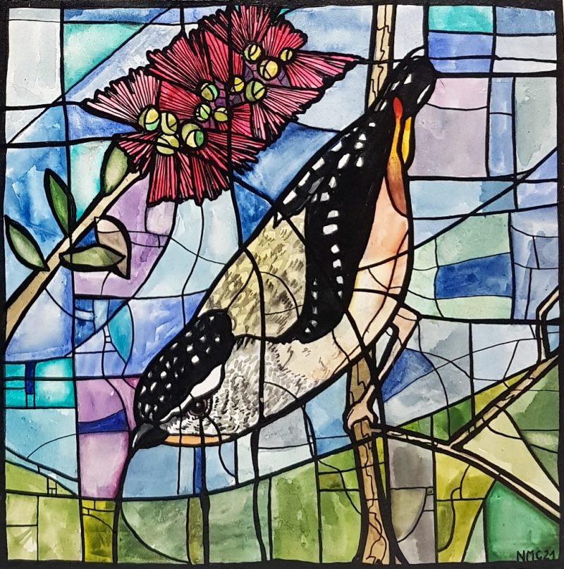 Pardalote and Callistemon