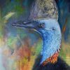 Rain Forest Cassowary
