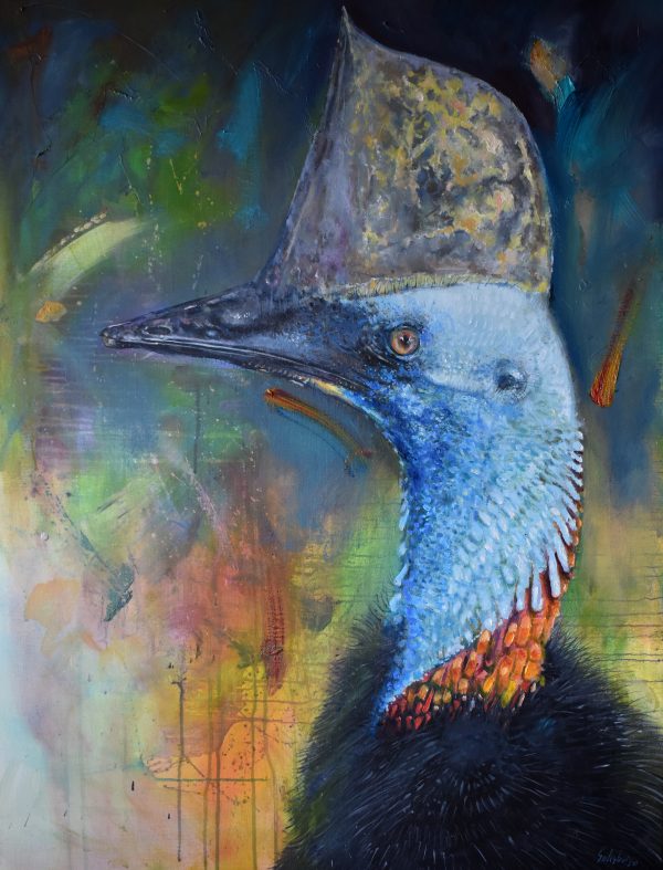 Rain Forest Cassowary