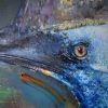 Rain Forest Cassowary.detail