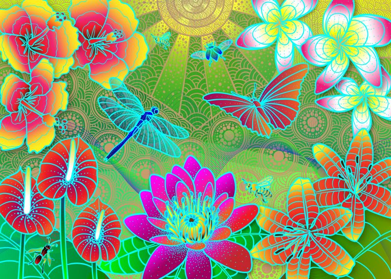 Spiritofnature Beautyindiversity 800x571