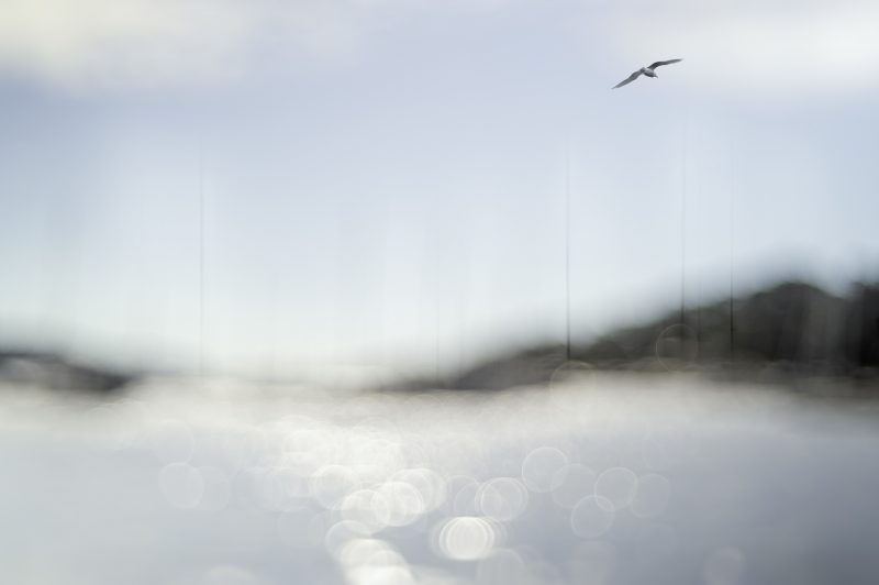 Untold Story — Ltd Ed Print